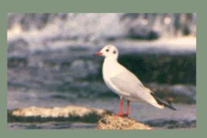 �����J����